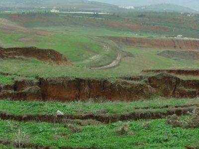 BackScarp